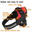 Picture of Pet Dog Anti Sprint Oxford Cloth K9 Chest Strap Traction Rope Strap, Size:S for 6-14kg (Black)