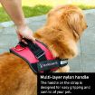 Picture of Pet Dog Anti Sprint Oxford Cloth K9 Chest Strap Traction Rope Strap, Size:S for 6-14kg (Black)