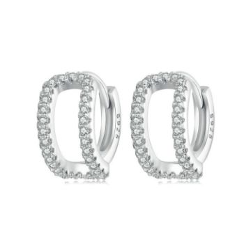 Picture of S925 Sterling Silver Plated White Gold Fine Flash Double Layer Earrings (BSE994)