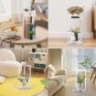 Picture of Dual Layer Acrylic Plant Flower Pot Stand Home Living Room Decoration