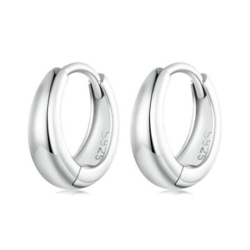 Picture of S925 Sterling Silver Electroplated Hoop Earrings