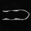 BMW Series 3 E46 1999-2004 Car Light Eyebrow Sticker - Left & Right Drive - 2