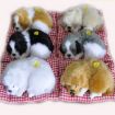 Picture of Simulation Will Call the Sleeping Dog Ornaments Toy Creative Doll Children Gift (Samoyed)