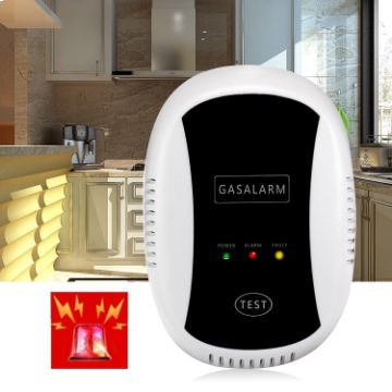 PA-209R Wireless Gas Detection Alarm, AC 100-240V - 1
