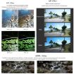 Insta360 GO 2/GO 3 ND64 Camera Lens Filter - 5