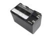 Canon XV2 XV1 XM2 XL2 XL1S XL H1 Battery (p/n BP-970 BP-970G) - 1