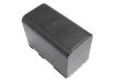 Canon XV2 XV1 XM2 XL2 XL1S XL H1 Battery (p/n BP-970 BP-970G) - 4