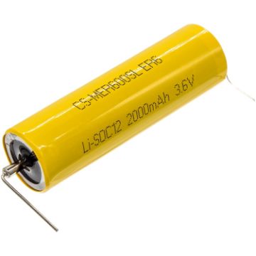 Maxell ER6 Battery Replacement - 1