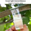 9cm Garden Grafting Tape Fruit Tree Seedling Self-Adhesive Wrap - 6