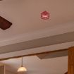 Fire Sprinkler Head Protective Cover Bracket - Red 4-point Sprinkler - 6