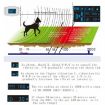 Wireless Electronic Dog Fence GPS Pet Shock Collar (White) - 6