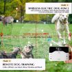Wireless Pet Electronic Fence Dog Collar Remote Control Trainer - 2