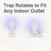 Refillable Fly Trap with Glue Cards - US Plug - 2