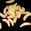 100pcs Red Headed Bread Worm Suite Fake Bait - Fishing Lure - 5