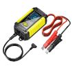 FOXSUR 12V Lithium Battery Charger with Battery Detection - UK Plug - 1
