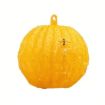 Outdoor Fruit Fly Mosquito Citrus Trap Sticky Ball - 1