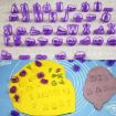 Alphanumeric Plastic Cookie Molds Set - 40pcs - Cake Decorative Printing Molds - 4