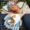 TPE Children Cartoon Gloves Hamster Parrot Size S Orange - 5