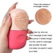 Facial Massage Silicone Ice Mold (Pink Rose Red) - 7