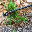 4-Tooth Dual Purpose Weed Remover Tool - 29cm Wood Handle - 9
