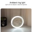 N601 180 Degree Rotating Type-C Desktop Fan with LED Ambience Light - 7
