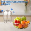 ZEVO M364/M364 MAX Insect Trap Mosquito Killer Refill 10pcs/Box - 4
