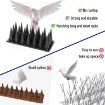 20pcs/Box 30cm 3 Rows Spikes Plastic Bird Repellent Spikes - Black - 6