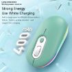 Rechargeable Wireless Mouse 2.4G Green - Illuminated Silent - 5