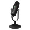 BM-86 USB Condenser Microphone Voice Recording Computer Microphone - 2