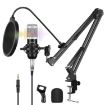 PULUZ Studio Broadcast Singing Microphone Kit - Silver - 1