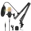 PULUZ Studio Broadcast Professional Singing Microphone Kit (Gold) - 1