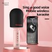 Lenovo ThinkPlus M1 Wireless Handheld Microphone Karaoke Speaker - 7