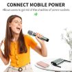 XTUGA U-F4600 4-Channel UHF Wireless Microphone System with 4 Handheld Mic - 9