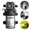 12V Mini Electric Diaphragm Pump for Automotive/Agricultural Use - 1