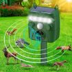 Solar Ultrasonic Outdoor Animal and Bird Repeller, Mouse Deterrent - 2