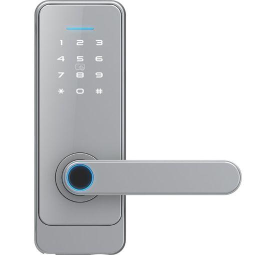 C89 Silver TUYA Smart Fingerprint Password Indoor Door Lock - 1