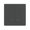 Tuya ZigBee EU Plug Smart Wall Switch, 2 Ways (Gray) - 1