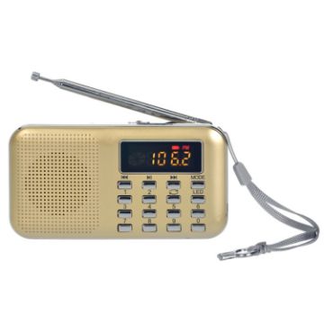 Gold L-218AM MP3 Radio Speaker Player with LED Flashlight Function - 1