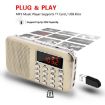 Gold L-218AM MP3 Radio Speaker Player with LED Flashlight Function - 4