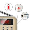 Y-619 FM/AM Mini Radio MP3 Player with LED Display (Blue) - 5