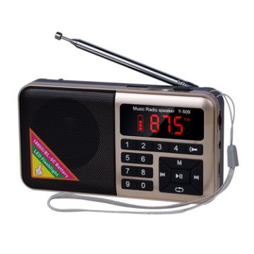 Gold Bluetooth Card Radio Digital FM Player Y-509FM (No Solar Panel) - 1