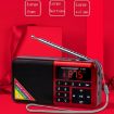 Gold Bluetooth Card Radio Digital FM Player Y-509FM (No Solar Panel) - 5