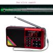 Y-509FM Bluetooth Card Radio Digital FM Player, No Solar Panel, Blue - 4