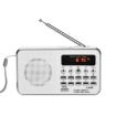 White L-938 MP3 Player FM Radio SD/MMC Card Support AUX-IN Earphone-out - 1