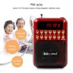 Rechargeable Red FM Radio Speaker with USB/TF/Music MP3 Player - 9