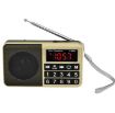 Y-928 Gold FM Radio with LED Display, MP3, TF Card & U Disk Support - 1