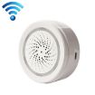 Tuya WiFi Smart Home Temperature & Humidity Sensor TY-192 - 1