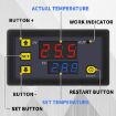 12V Microcomputer Digital Display Thermostat, Red & Blue Display - 5