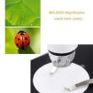 DMS-MDS800 40X-1600X USB Digital Microscope with 2.0MP Sensor & Stand - 8