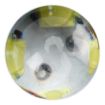 P13W 4.2W Car Fog Light 290LM 6000K White, 16 3535 Lamps, 12V-24V - 4